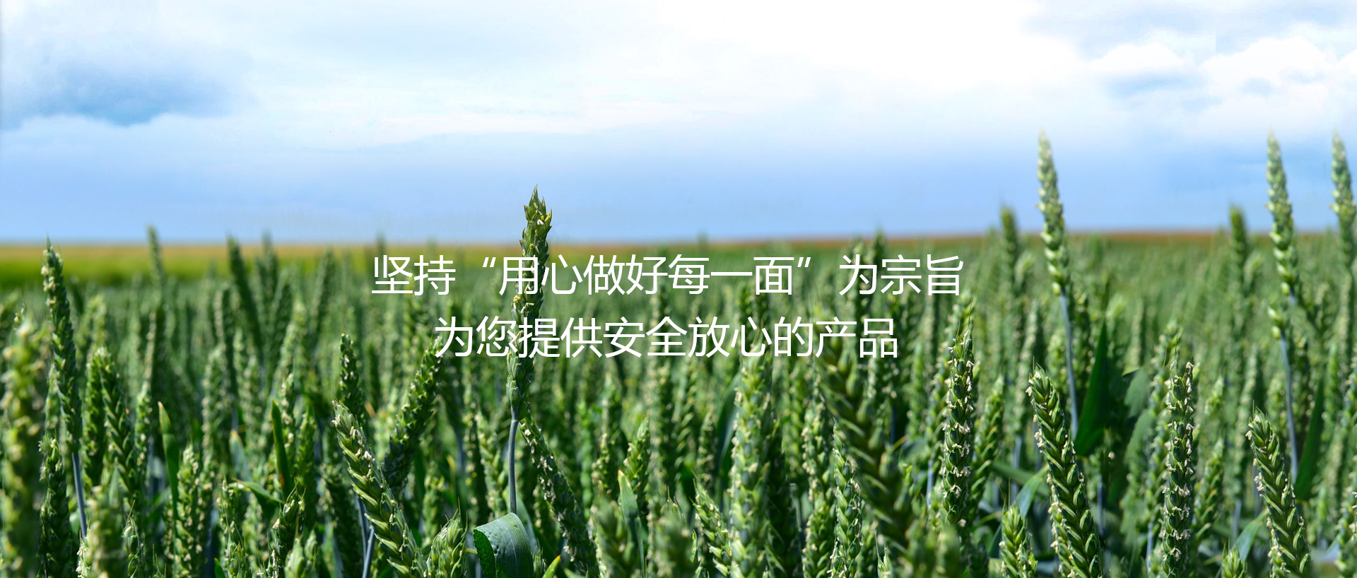 河南仙力面業有限公司